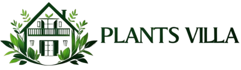 plantsvilla.com