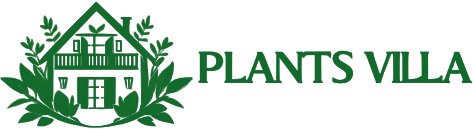 Plants Villa