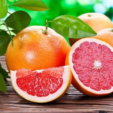 Ruby Red Grapefruit_Grafted Fruit Plant
